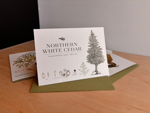 GTRLC x Dani Knoph: Northern White Cedar notecard