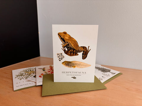 GTRLC x Dani Knoph: Wood Frog notecard
