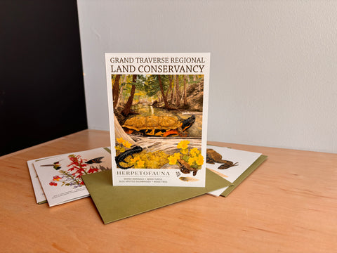 GTRLC x Dani Knoph: Herpetofauna notecard