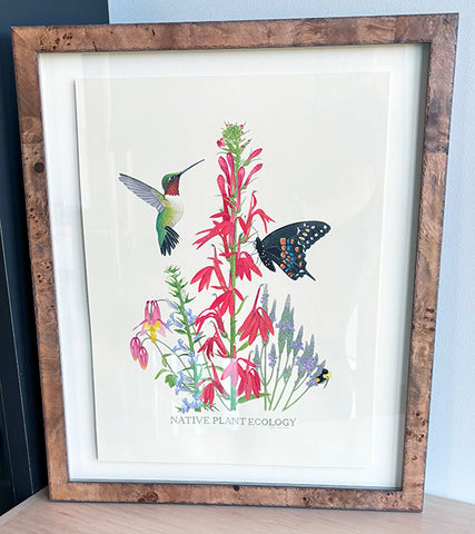 GTRLC x Dani Knoph: Native Plant Ecology (original)