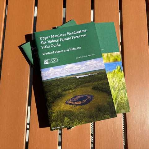 Upper Manistee Headwaters: The Milock Family Preserve Field Guide - Wetland Plants and Habitats