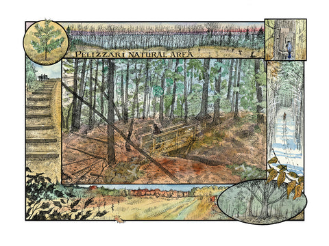 Glenn Wolff Signed Print - Pelizzari Natural Area