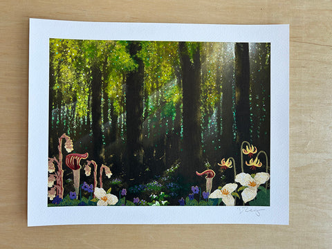 GTRLC x Dana Falconberry: Light in the Mesic Northern Forest Print