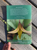 Botanical Field Guide for Pete's Woods at Arcadia Dunes: The C.S. Mott Nature Preserve